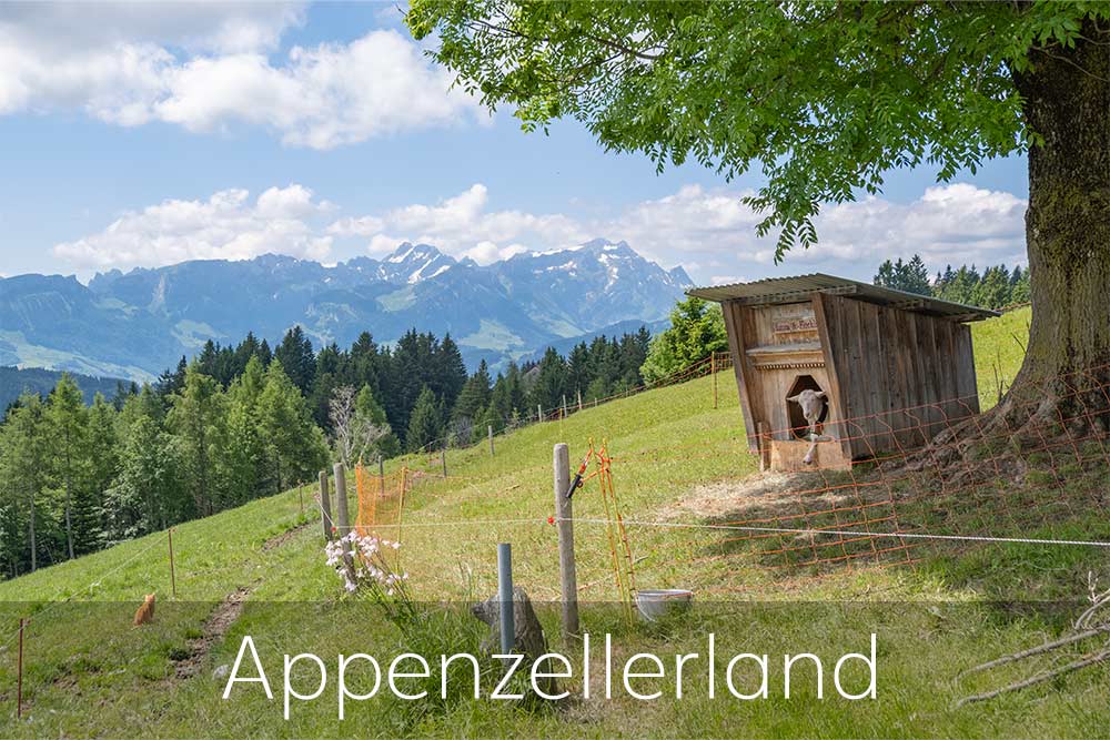 Fotografie Dominik Wolff - Appenzellerland