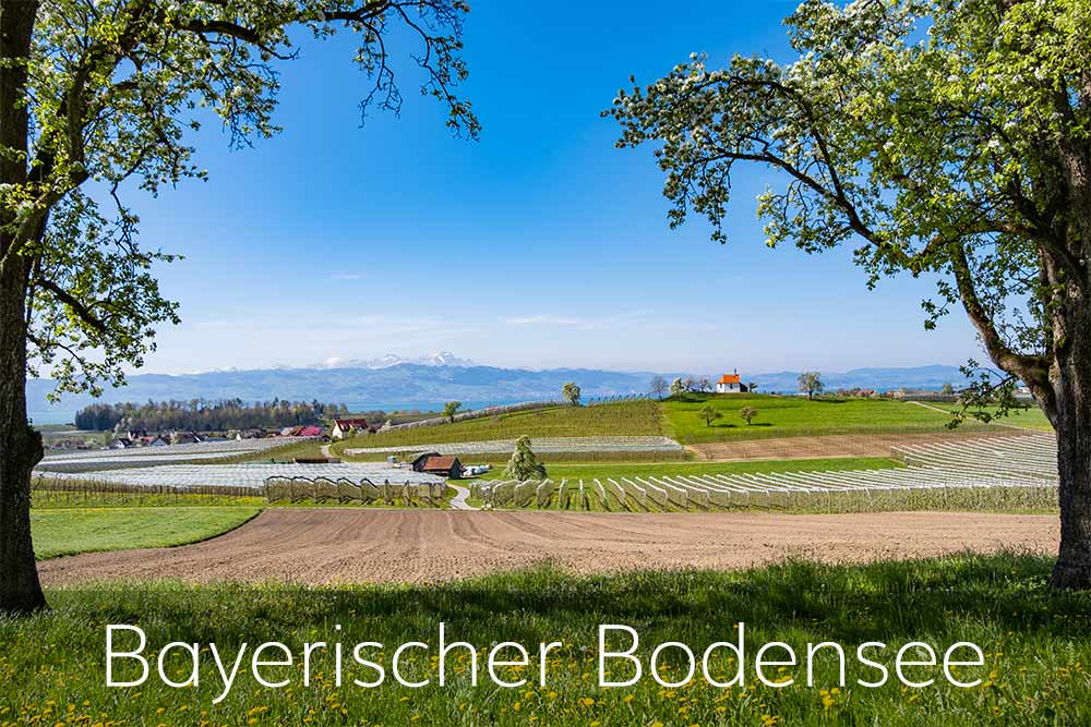 Fotografie Dominik Wolff - Bayerischer Bodensee